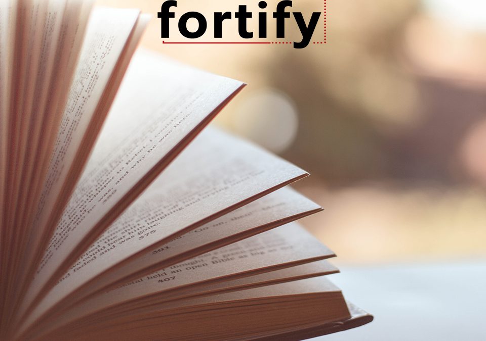 What Our Team At Fortify Consultants Are Listening To And Reading